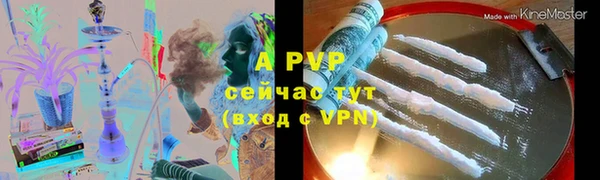 спайс Сясьстрой