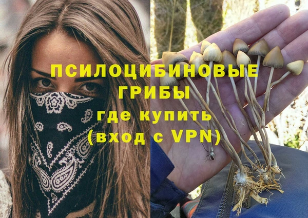 спайс Сясьстрой