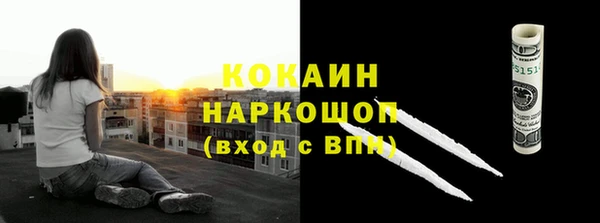 СК Тавда