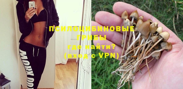 спайс Сясьстрой