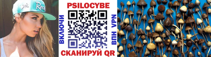 Галлюциногенные грибы Psilocybe  Купить  Лахденпохья 